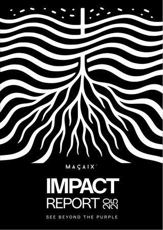 Capa do Impact Report 2025