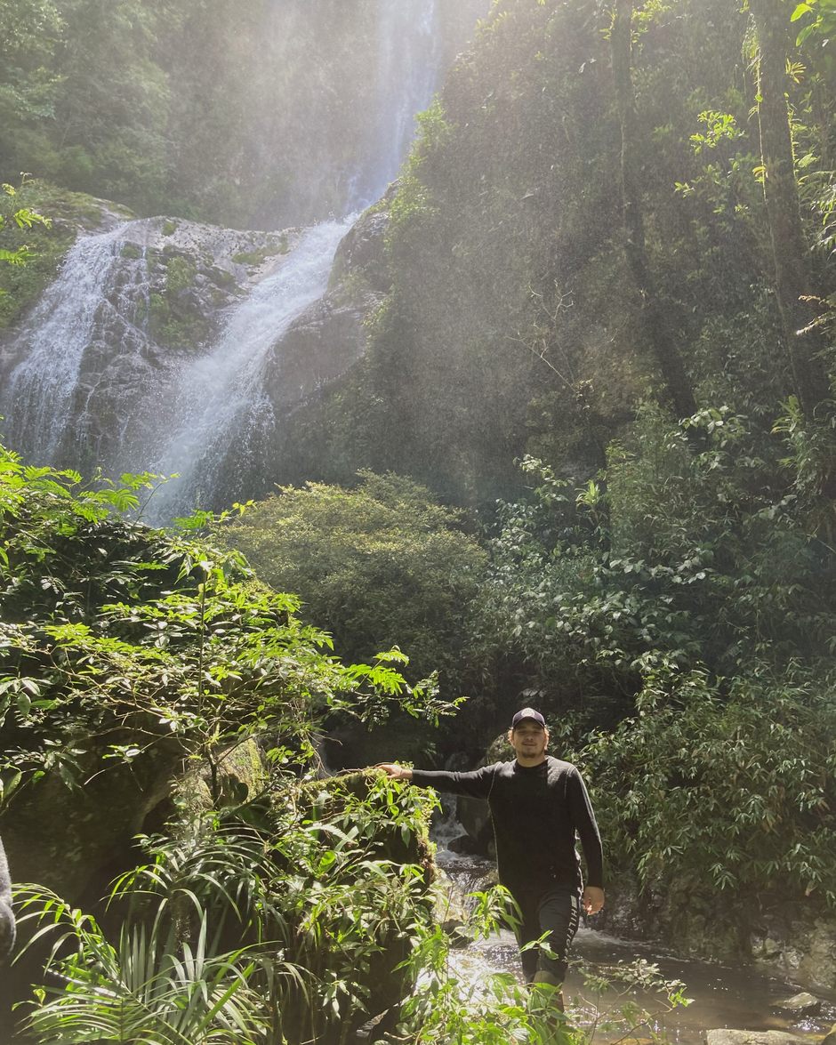 Cachoeira na mata da juçara, Mata Atlântica
